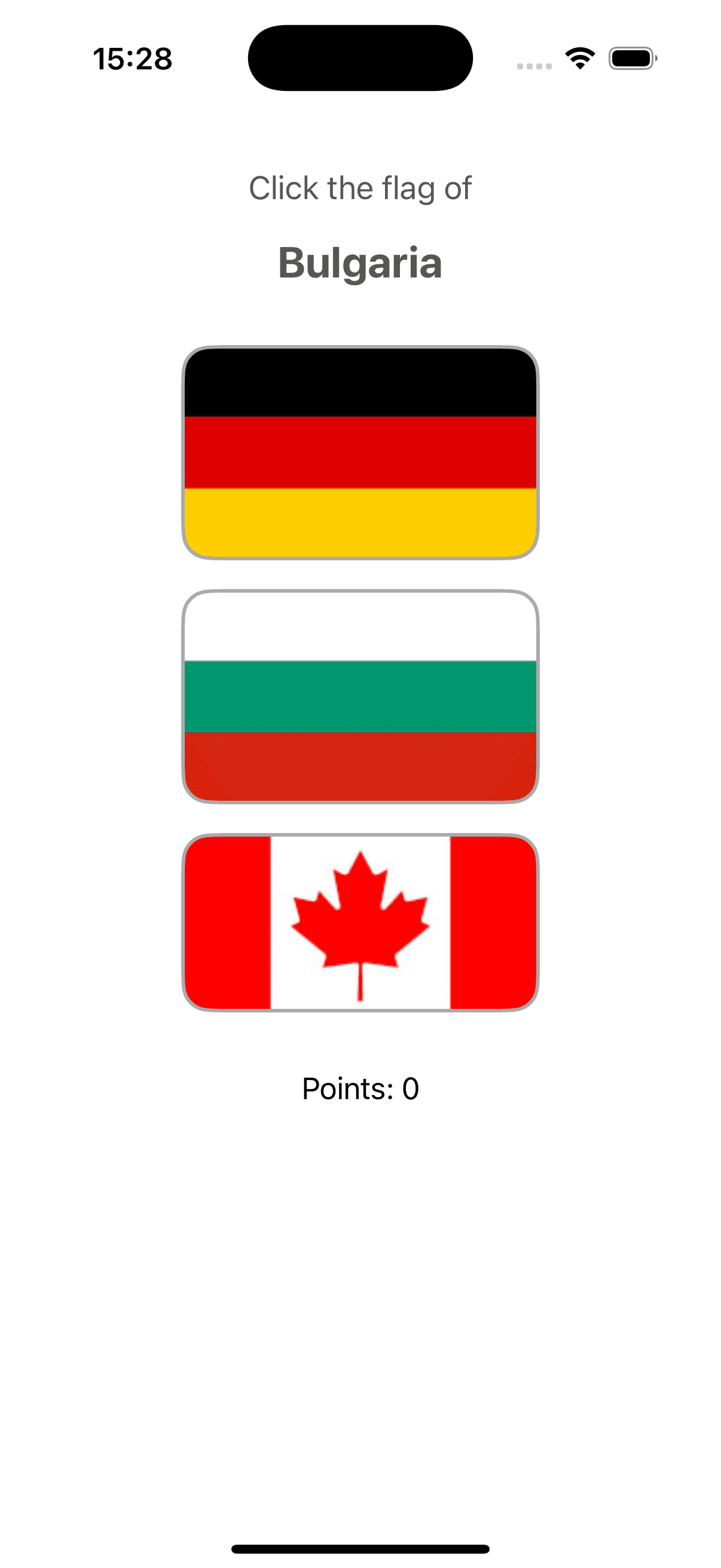 Flag Guessing Game